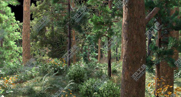 images/goods_img/20210312/3D Jungle With Road For Biking and Hiking model/4.jpg